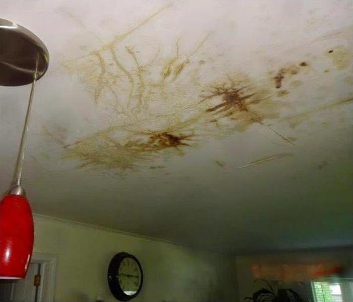 Moldy Ceiling Before
